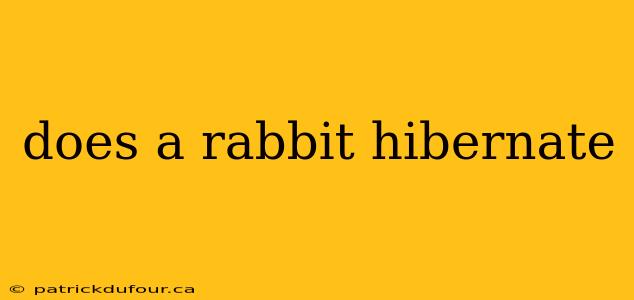 does a rabbit hibernate