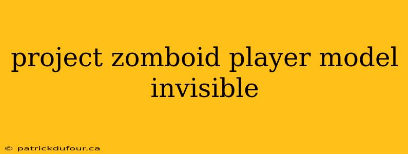 project zomboid player model invisible